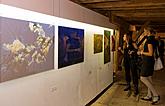 Slavnostní zahájení výstav, 16.4.2010 - Egon Schiele (1890-1918) - výstava k poctě životu a dílu - oslavy 120. výročí narození, foto: Libor Sváček